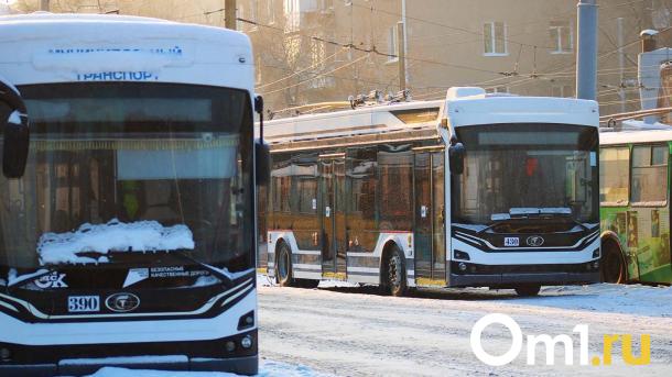 Омская мэрия не будет запускать экспрессы на Левый берег