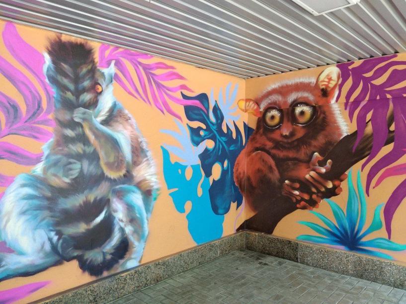 Изображение фоторепортажа