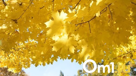 В начале октября в Омске был побит температурный рекорд 123-летней давности