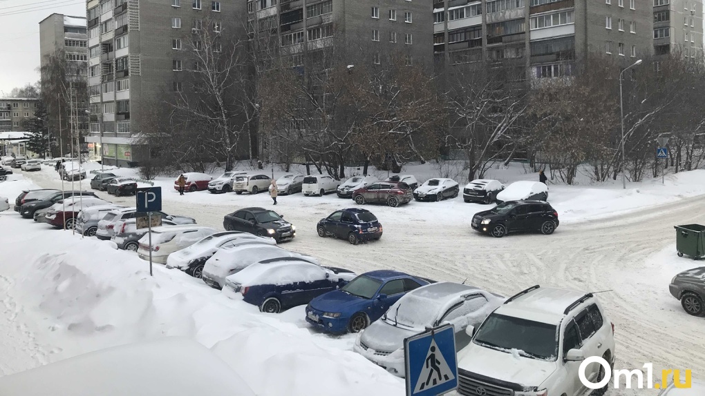 Город занесёт снегом: метель и потепление до -1 градуса обещают в Новосибирске на выходных