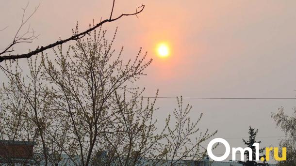 Апрельский ад в Сибири: +28 °C в Новосибирске побили все температурные рекорды