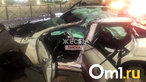 В смертельной аварии с пьяным полицейским в Омске определять виновного будут по ДНК