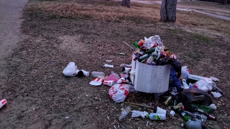 Любуемся закатом на фоне переполненных урн. Омичка обратила внимание на мусор в Советском парке