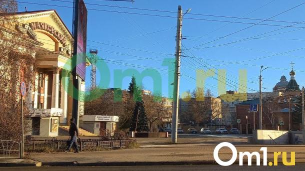 В Омске устанавливают новогоднюю ёлку в +8