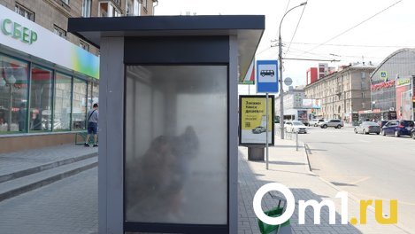 Новосибирцы жалуются на новую маршрутку №99 на левом берегу