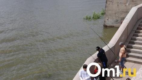 Новосибирские водоёмы скрывают 17 тысяч тонн рыбы: почему её не ловят и безопасно ли есть?