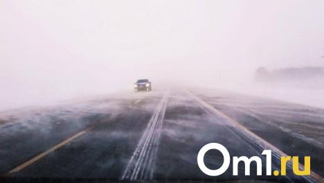 Омскую область накроют метель и сильный ветер