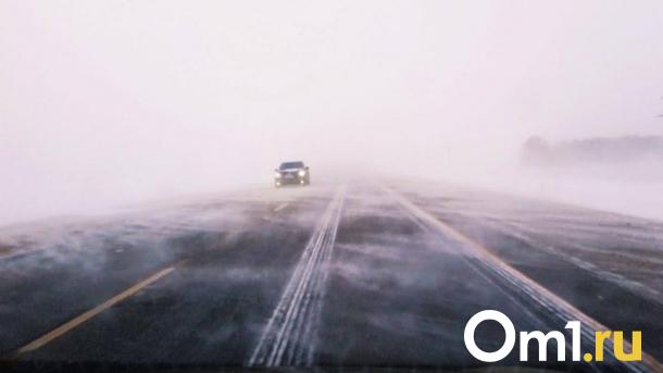Омскую область накроют метель и сильный ветер