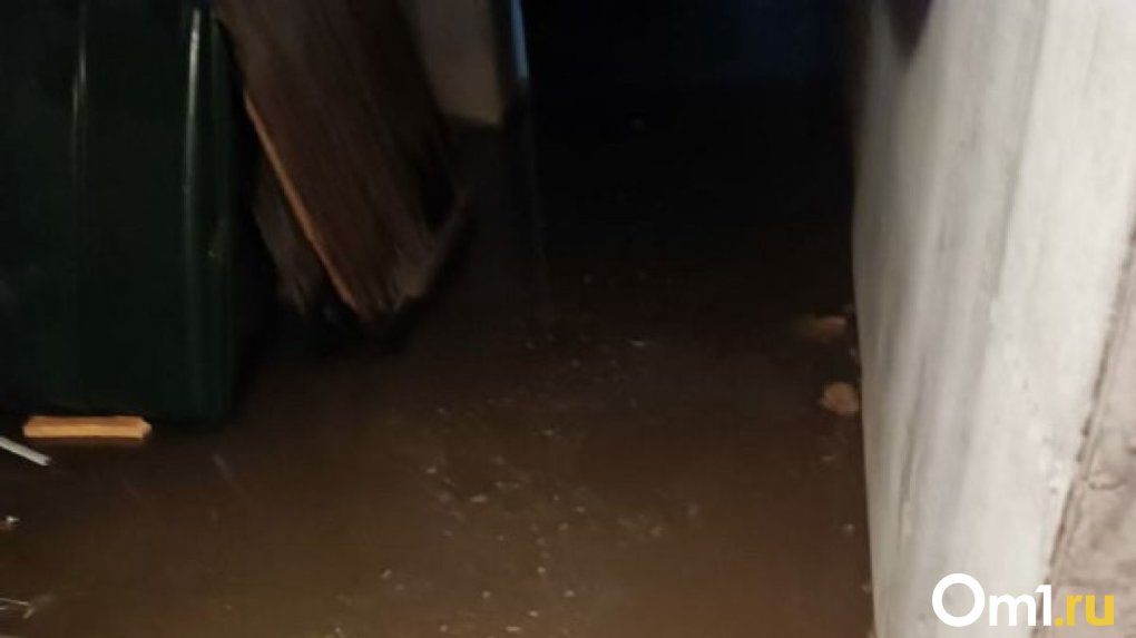 Коммунальная катастрофа: подвал омской многоэтажки в Нефтяниках затопило фекалиями