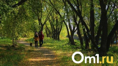 В ближайшие две недели погода готовит омичам неприятный сюрприз