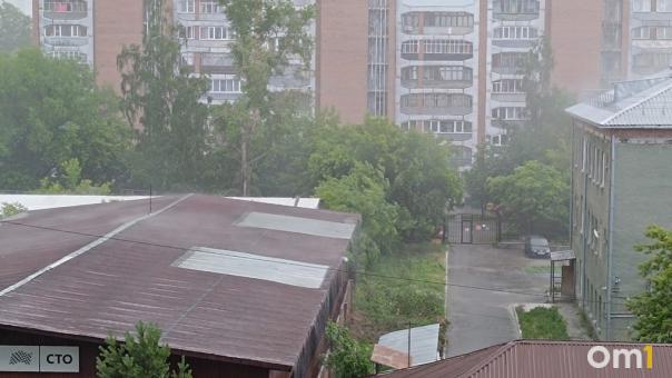Гроза и шквалистый ветер пришли в Новосибирск 28 июня