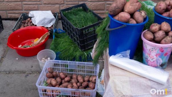 Аномальные дожди в Омской области плохо влияют на посадки картофеля