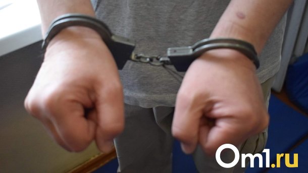 Появились кадры ареста омича, избившего до смерти свою беременную подругу