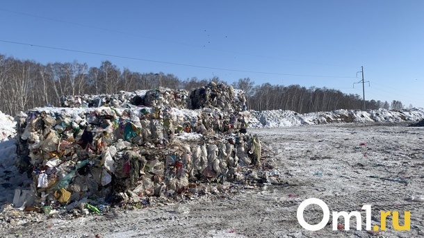 На свалку под Новосибирском выбросили медали ветерана Великой Отечественной войны