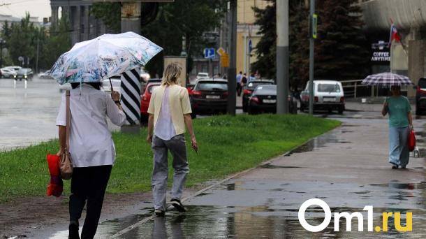 На погоду в Омске окажет влияние циклон с Каспийского моря