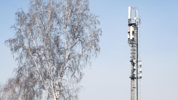 Tele2 улучшила покрытие в 14 районах Омской области
