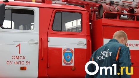 На севере Омской области в пожаре погибла семейная пара