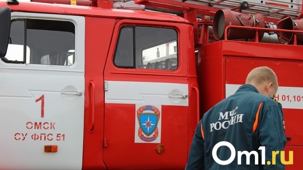 На севере Омской области в пожаре погибла семейная пара