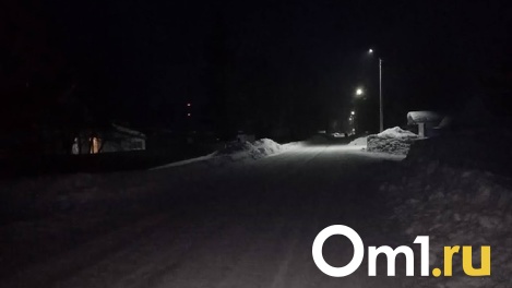 Омичи добились установки нормального освещения только через суд