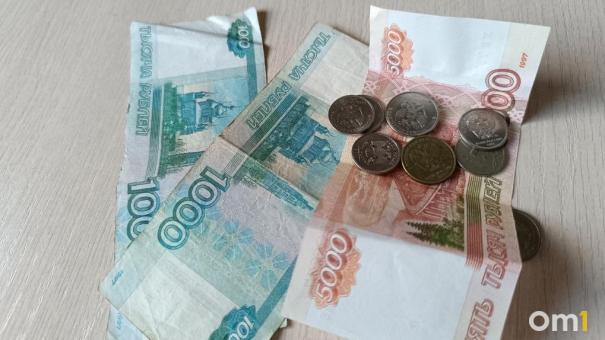 13-ю пенсию могут начать платить в России