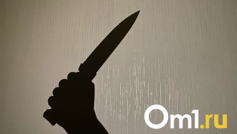 В Омске будут судить женщину, которая зарезала мужа и сломала психику сыну