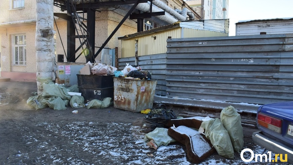 Как в Омске вывезти мусор и где установят контейнерные площадки?