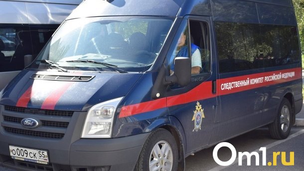 Глава СКР проконтролирует проверку фальсификации доказательств по делу в Новосибирской области