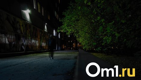 Пятеро мужчин в Омске приставали к девушке, но их спугнули прохожие