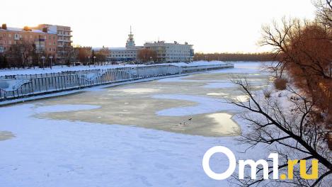 В Омске посреди зимы появились комары