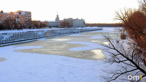 В Омске посреди зимы появились комары