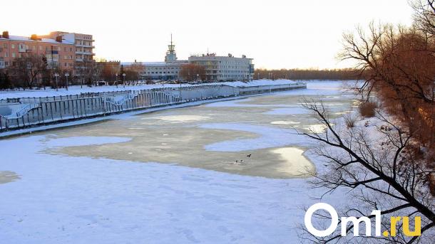 В Омске посреди зимы появились комары