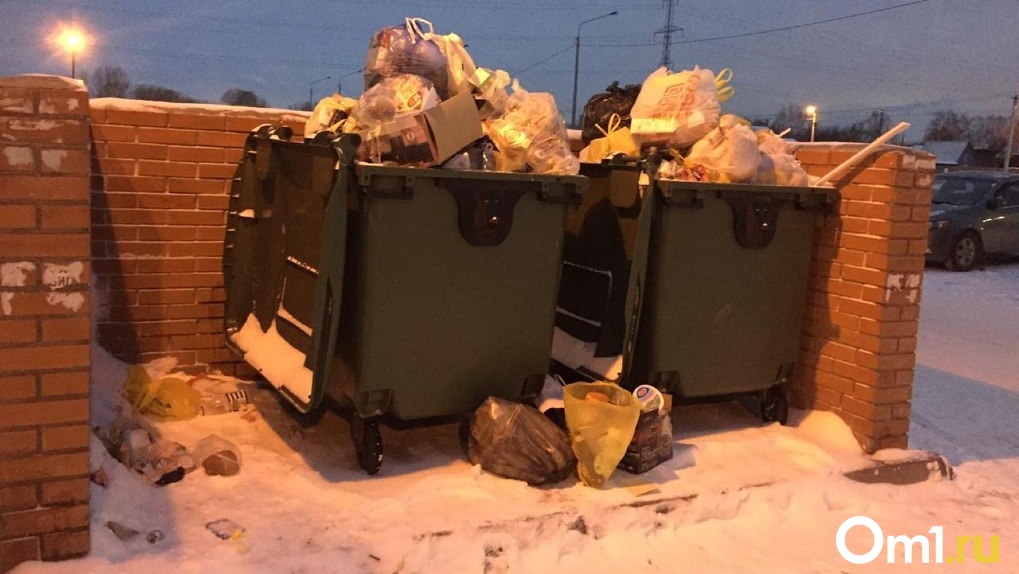 Новосибирские депутаты ожидают мусорный коллапс после новогодних праздников