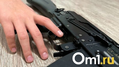 На дачах под Омском похитили винтовку с патронами