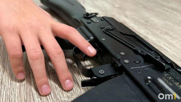 На дачах под Омском похитили винтовку с патронами