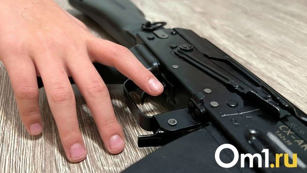 На дачах под Омском похитили винтовку с патронами
