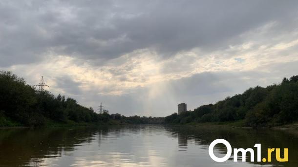 В частном секторе на берегу Омки хотят разбить террасный сад