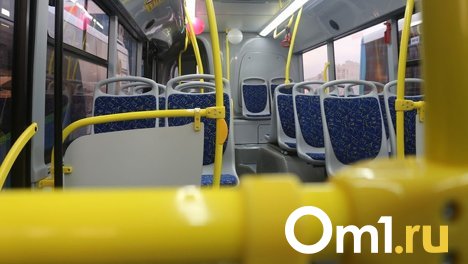Из Омска запустят ночные автобусные рейсы в Бишкек