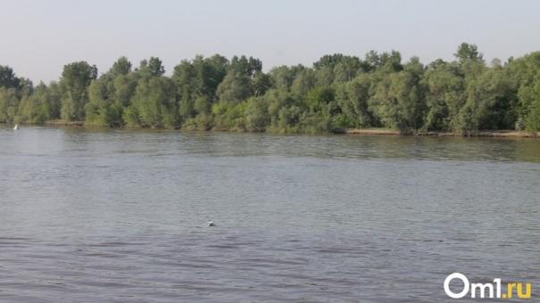 Труп человека обнаружили в реке Туле в Новосибирске