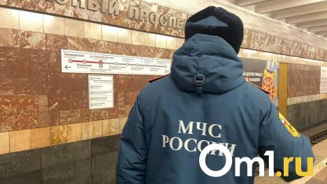 В Новосибирске огонь перекинулся на соседние участки в частном секторе