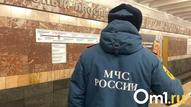 В Новосибирске огонь перекинулся на соседние участки в частном секторе