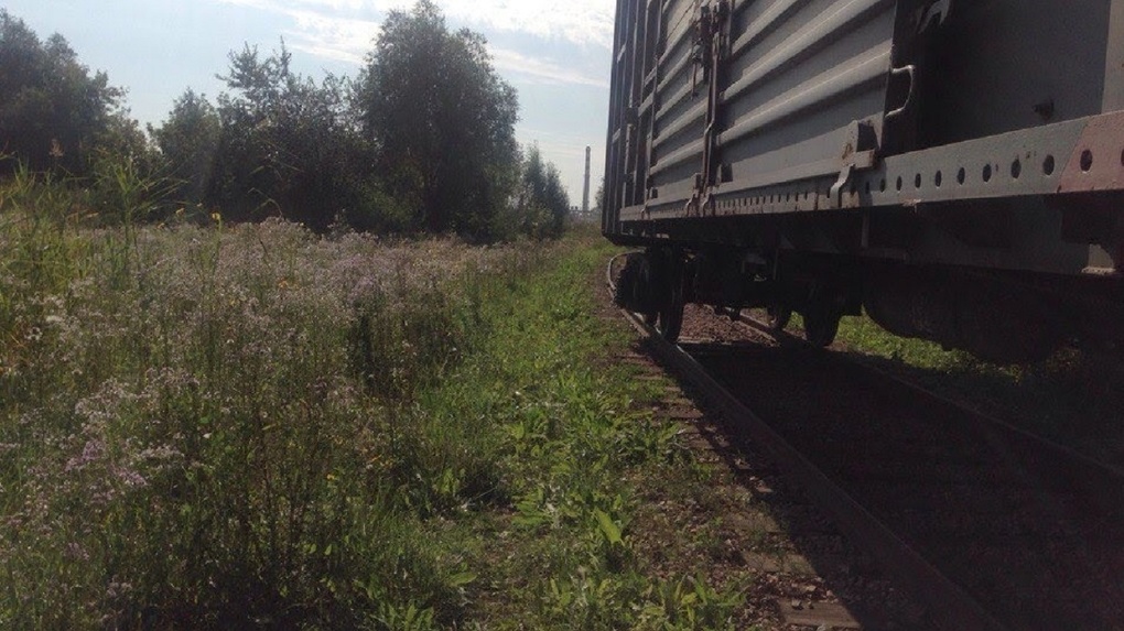 В Омской области пенсионер погиб под поездом