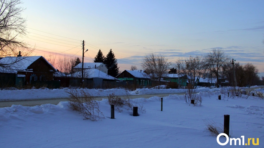 Омск деревня