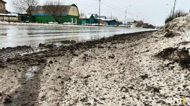 Снег из Омска должны вывезти к началу марта