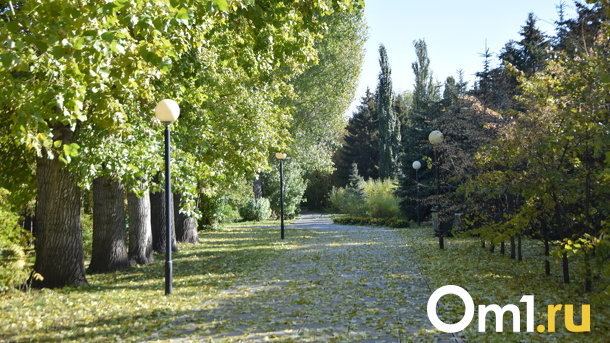 Омские парки отдали торговцу лесоматериалами