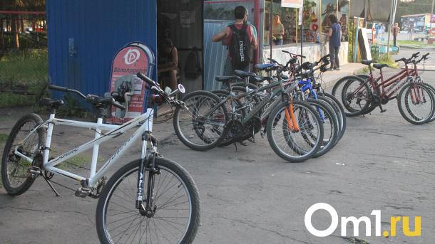 У ленивого омича украли краденый велосипед