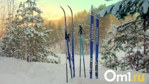 «Убьёт массовый лыжный спорт»: учёные просят спасти лыжную базу в Академгородке