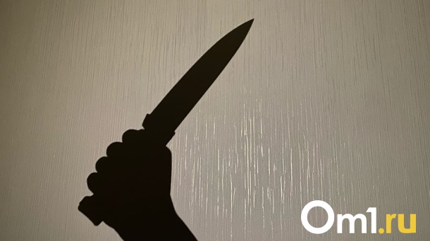 Омич попал в больницу с проткнутым лёгким из-за конфликта с собутыльником