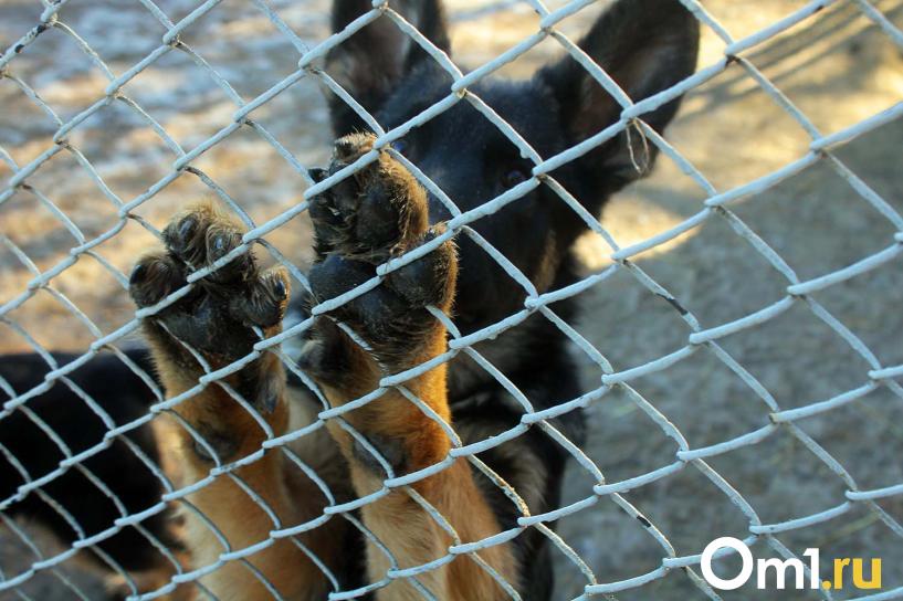 Изображение фоторепортажа