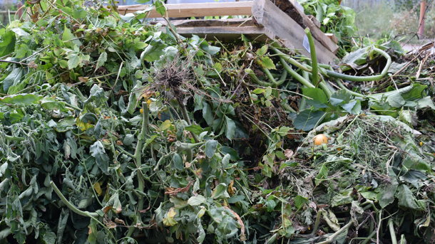 Как правильно выбрасывать с ветки и ботву?