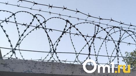На год больше. Омичу, убившему супругу-педагога, ужесточили приговор